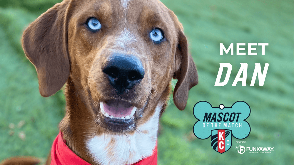 Adopt Dan! Mascot of the Match Presented by FunkAway - Kansas City Current Adopt Dan! Mascot of the Match Presented by FunkAway - Kansas City Current