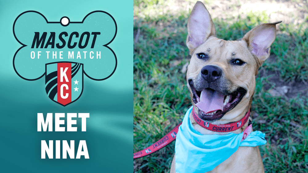  Adopt Nina, our Mascot of the Match!  Kansas City Current