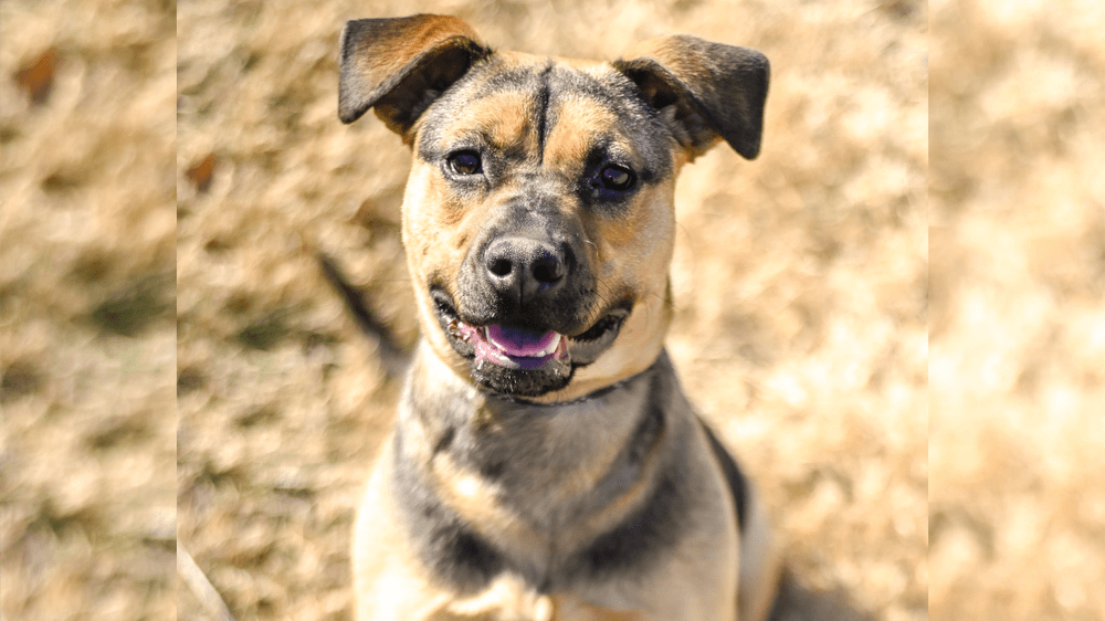 Adopt Christina, our Mascot of the Match! Kansas City Current