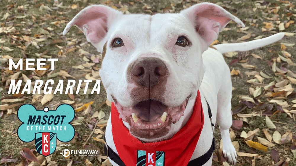 Adopt Margarita! Mascot of the Match Presented by FunkAway Kansas City Current