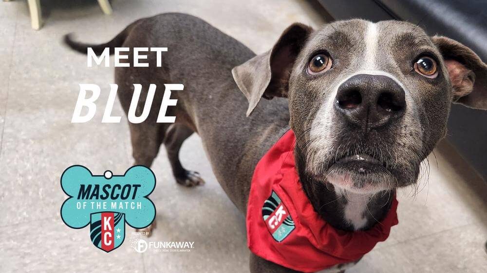  Adopt Blue! Mascot of the Match Presented by FunkAway Kansas City Current