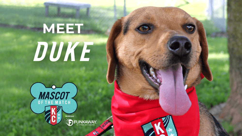 Adopt Duke! Mascot of the Match Presented by FunkAway Kansas City Current