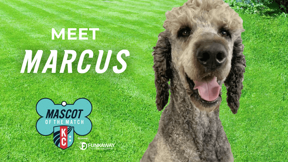  Adopt Marcus! Mascot of the Match Presented by FunkAway Kansas City Current