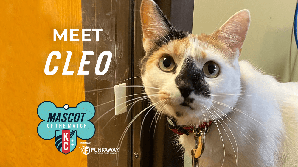  Adopt Cleopatra! Mascot of the Match Presented by FunkAway Kansas City Current