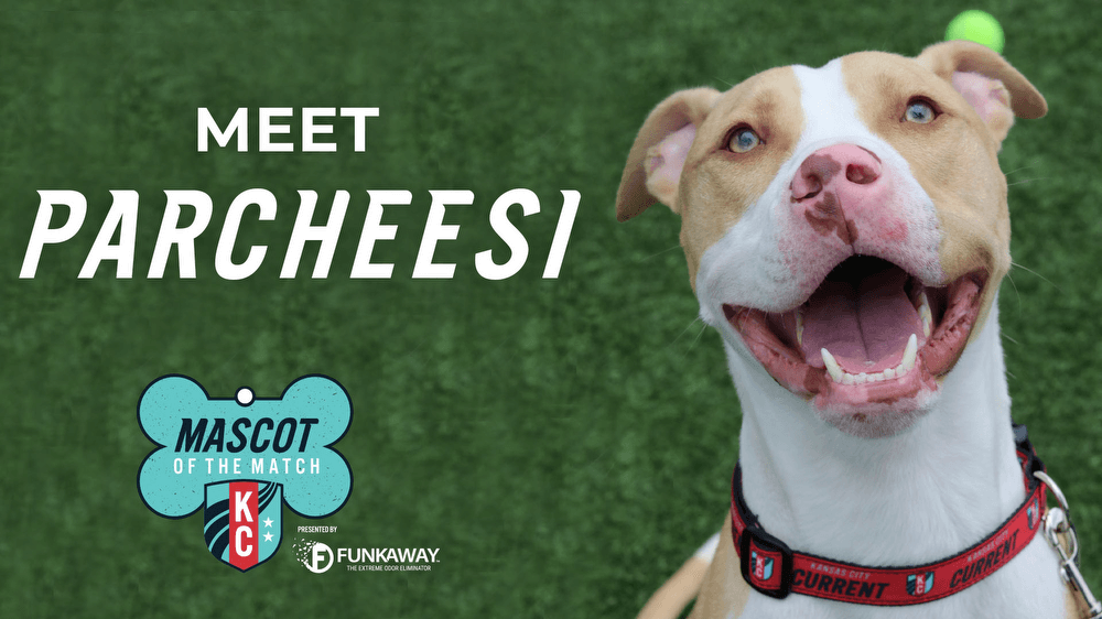  Adopt Parcheesi! Mascot of the Match Presented by FunkAway Kansas City Current