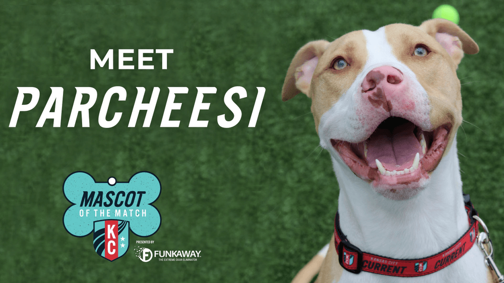 Adopt Parcheesi! Mascot of the Match Presented by FunkAway Kansas City Current