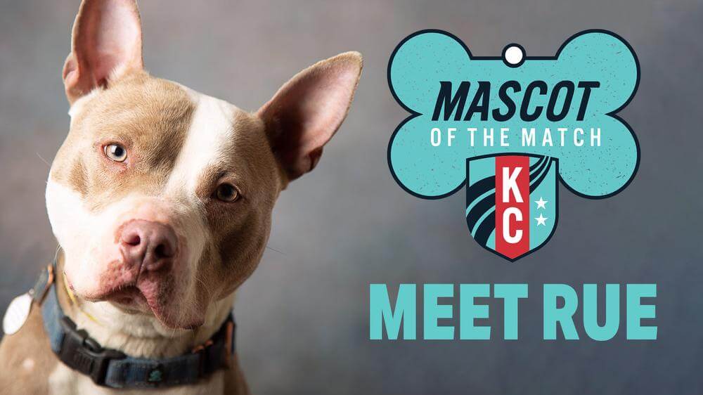  Adopt Rue, our Mascot of the Match!  Kansas City Current