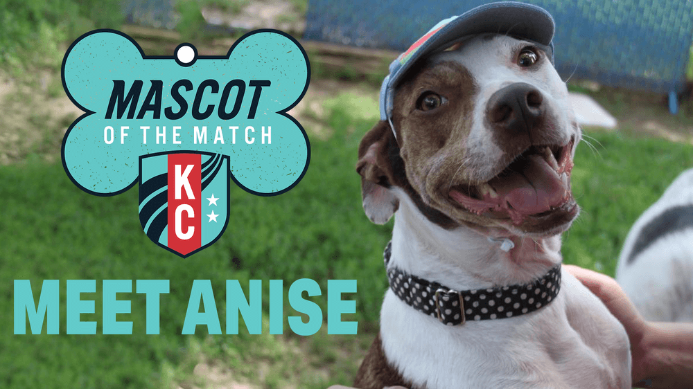 Adopt Anise, our Mascot of the Match!  Kansas City Current
