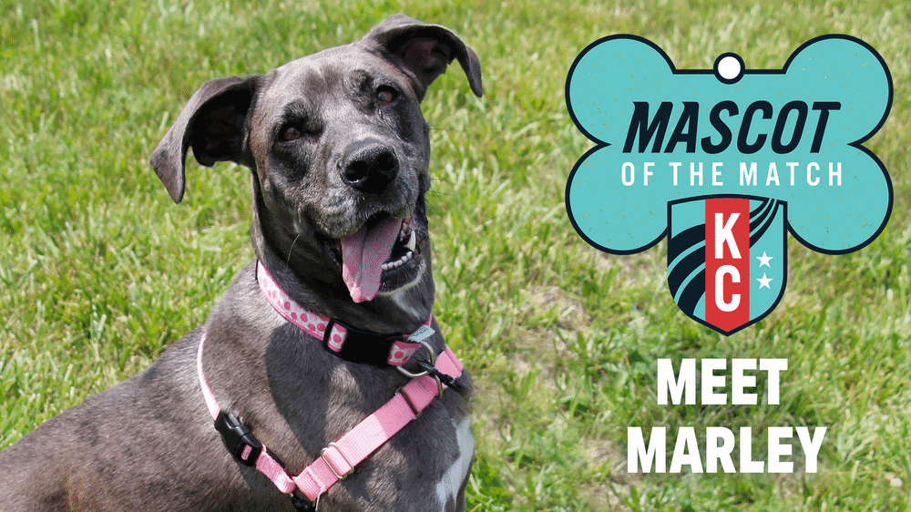  Adopt Marley, our Mascot of the Match! Kansas City Current