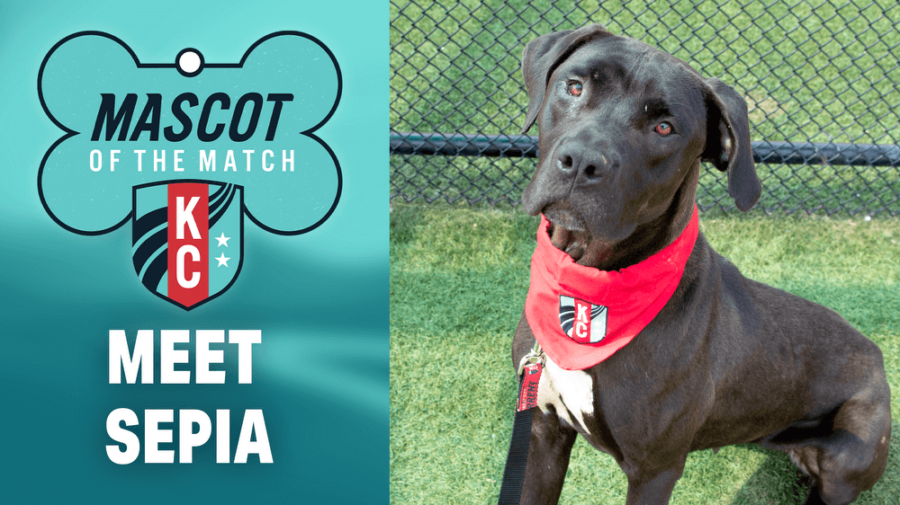 Adopt Sepia, our Mascot of the Match! Kansas City Current