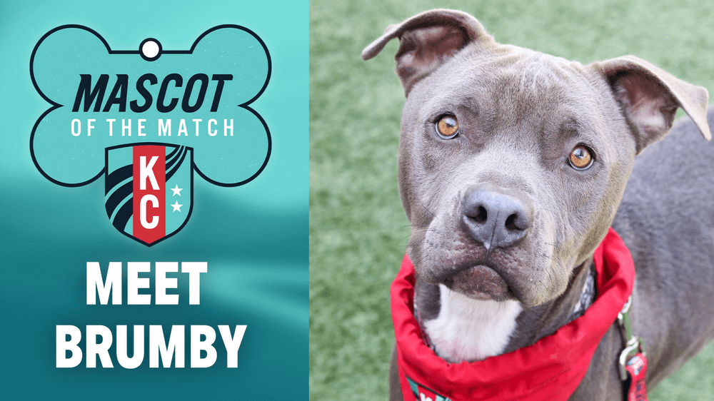 Adopt Brumby, our Mascot of the Match!  Kansas City Current