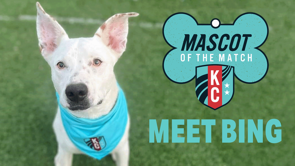  Adopt Bing, our Mascot of the Match!  Kansas City Current