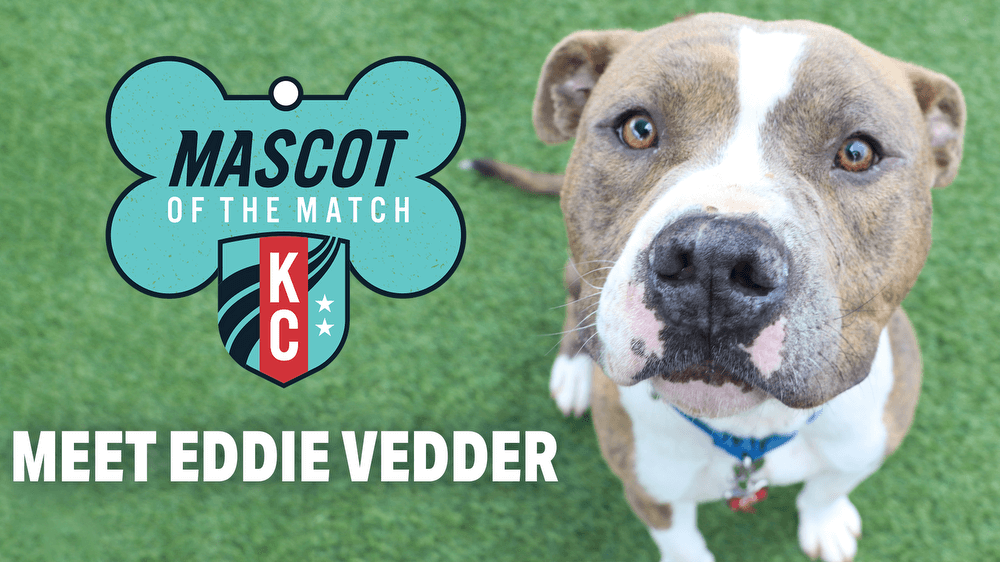 Adopt Eddie Vedder, our Mascot of the Match!  Kansas City Current