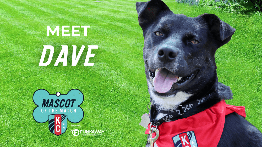 Adopt Dave! Mascot of the Match Presented by FunkAway Kansas City Current