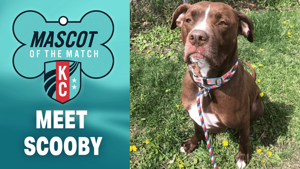  Adopt Scooby, our Mascot of the Match! Kansas City Current