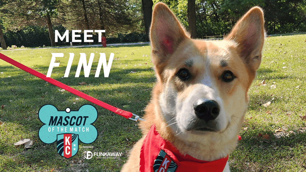 Adopt Finn! Mascot of the Match Presented by FunkAway Kansas City Current